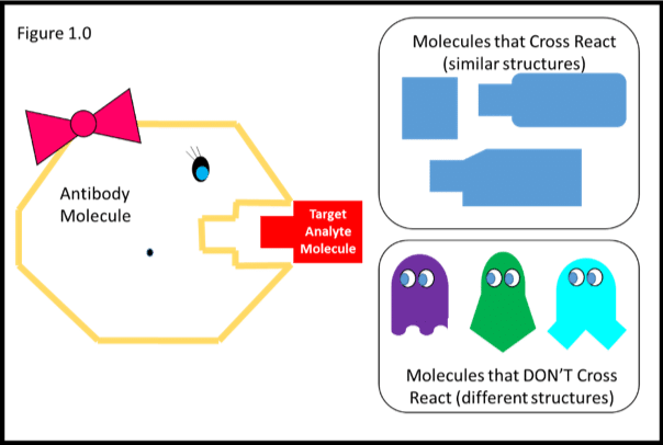 Image of Cross-reactivity